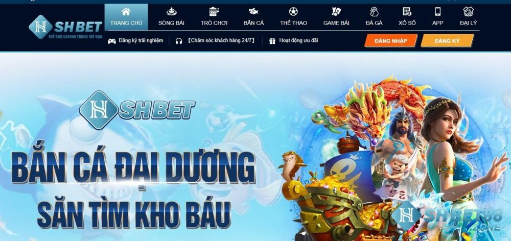 Nhà cái Shbet là gì? Cùng tìm hiểu ngay